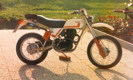 Wasp mit XT500/1981